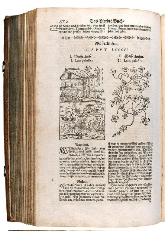 Mattioli Kräuter-Buch